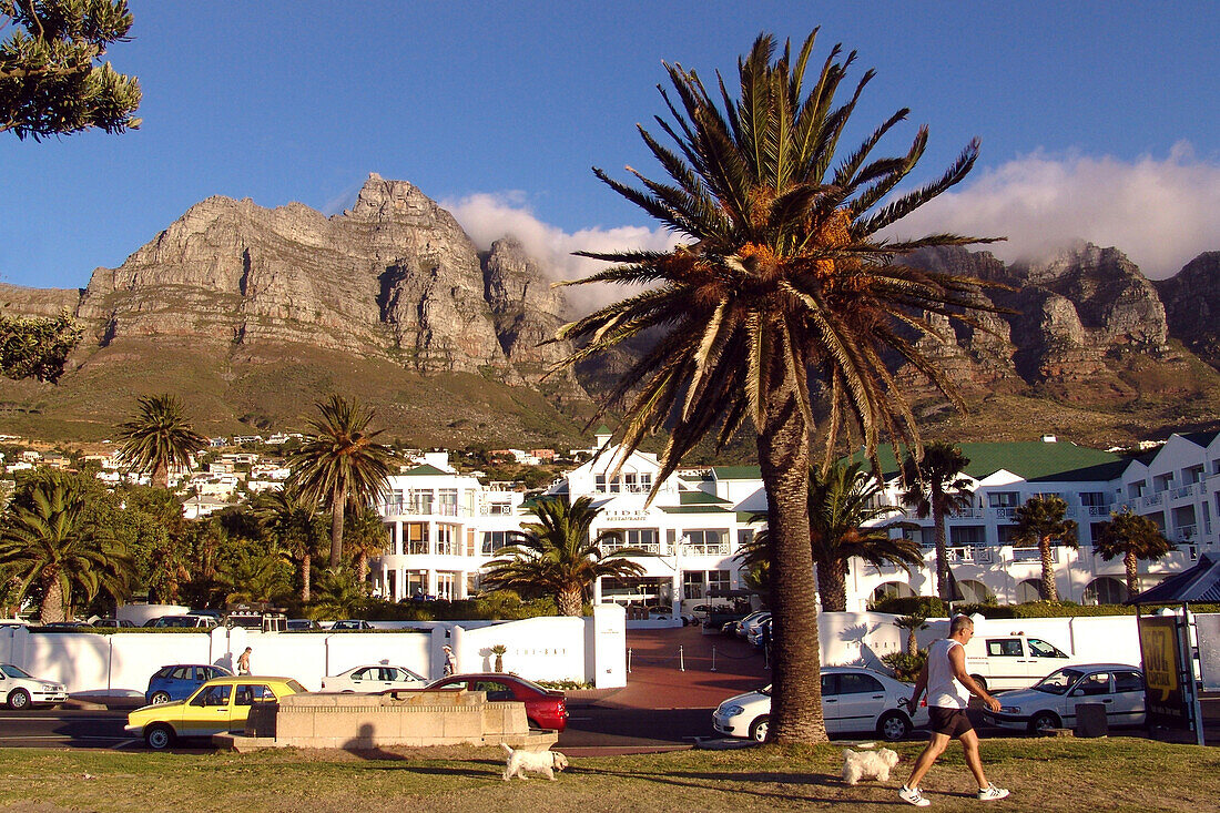 Blick auf Häuser und Berge in einer Bucht, Camps Bay, Kapstadt, Südafrika, Afrika