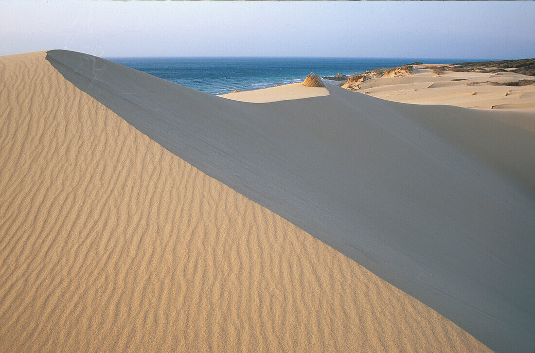 Dünen von Punta Paloma, Tarifa, Costa de la Luz, Cádiz, Andalusien, Spanien, Europa
