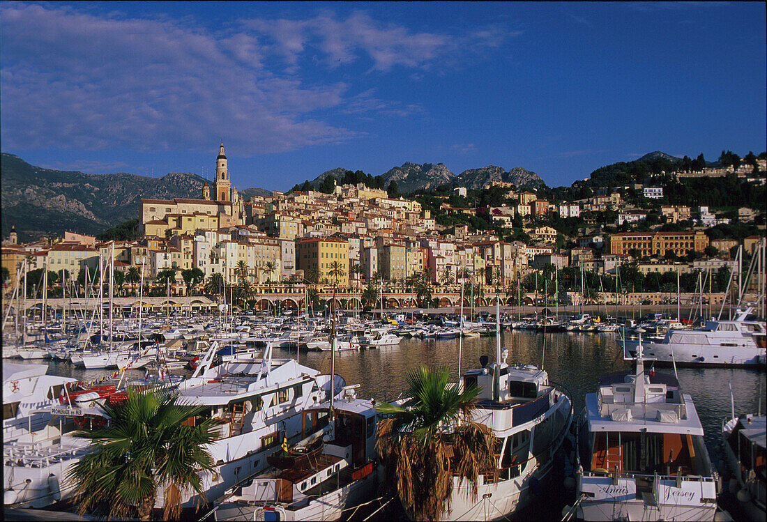 Hafen von Menton, Côte d´Azur, Alpes Maritimes, Provence, Frankreich, Europa