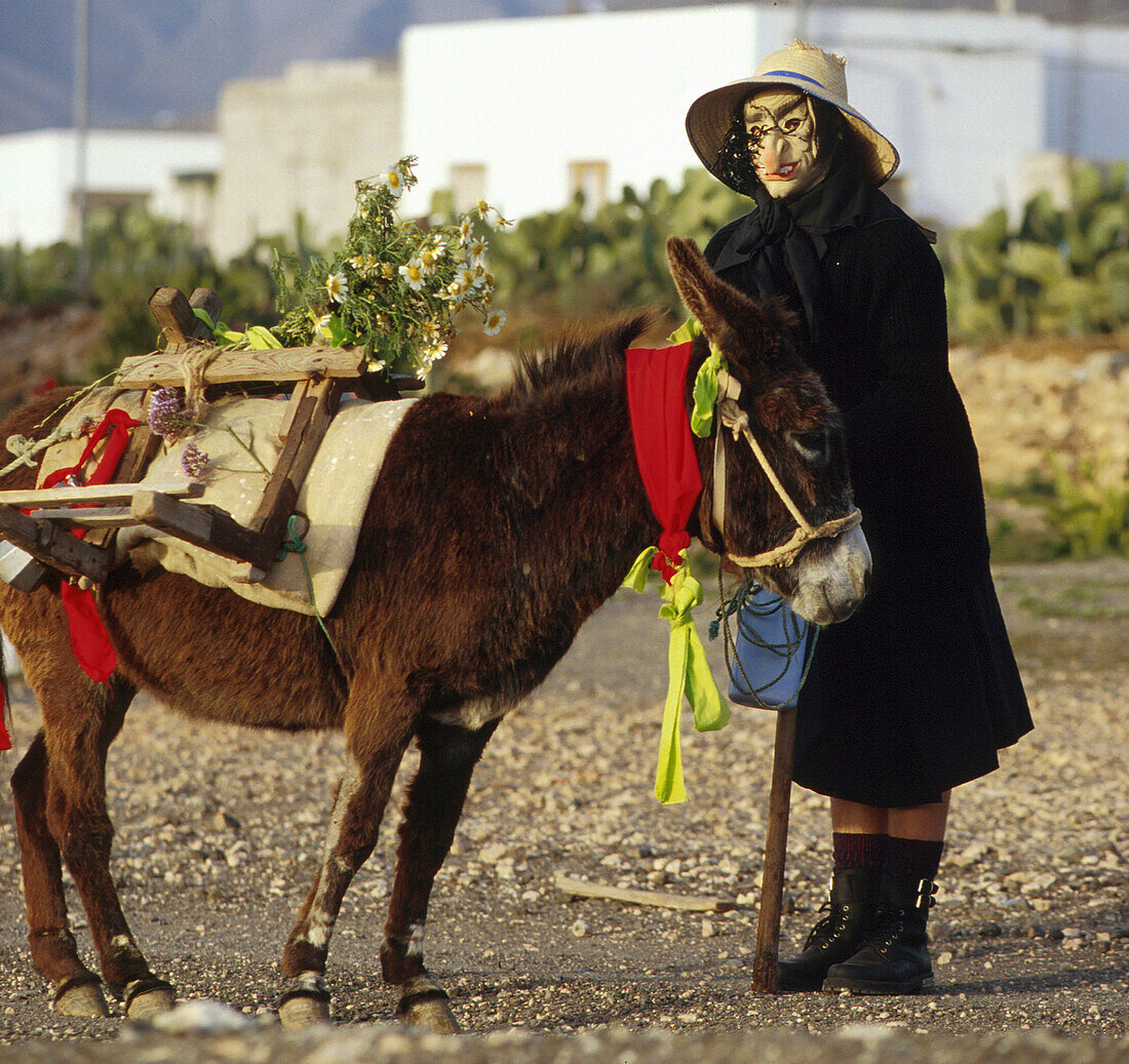 Karneval, geschmückter Esel, Tefia, Fuerteventura Kanarische Inseln, Spanien