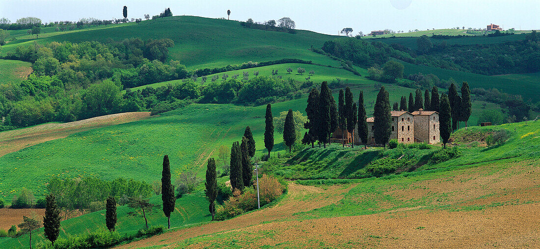 Landhaus und Zypressen in der nähe von Torrita di Siena Toscana, Toscana, Italien