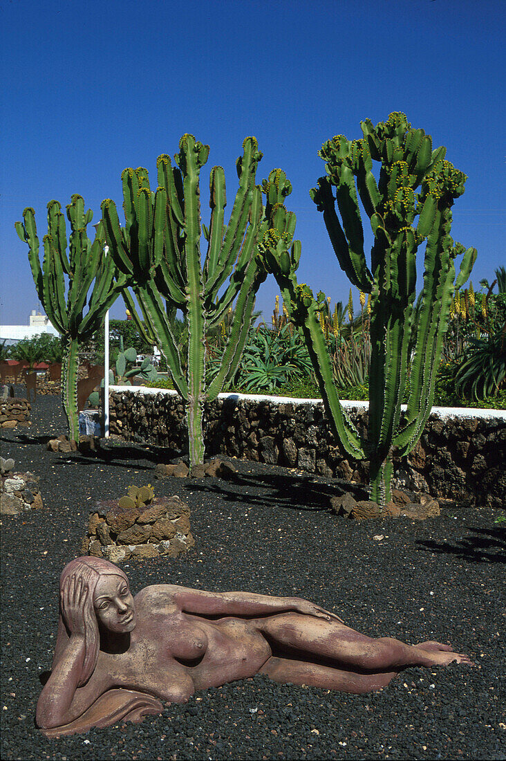 Im Garten des Kunstmuseums La Oliva, Fuerteventura, Kanarische Inseln, Spanien, Europa