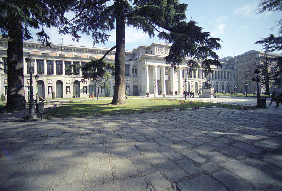 Exterior view of the Prado behind some trees, Madrid, Spain, Europe