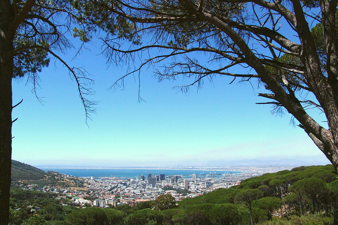 View from a mountain at Cape Town, Cape Town, South Africa, Africa