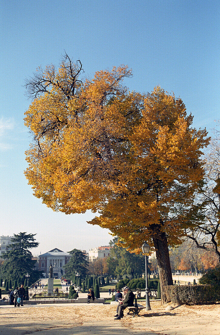 Menschen in einem Park im Herbst, Parque del Retiro, Madrid, Spanien, Europa