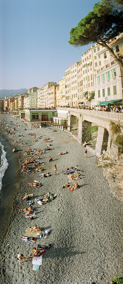 Beach life, Camogli, Liguria, Italy