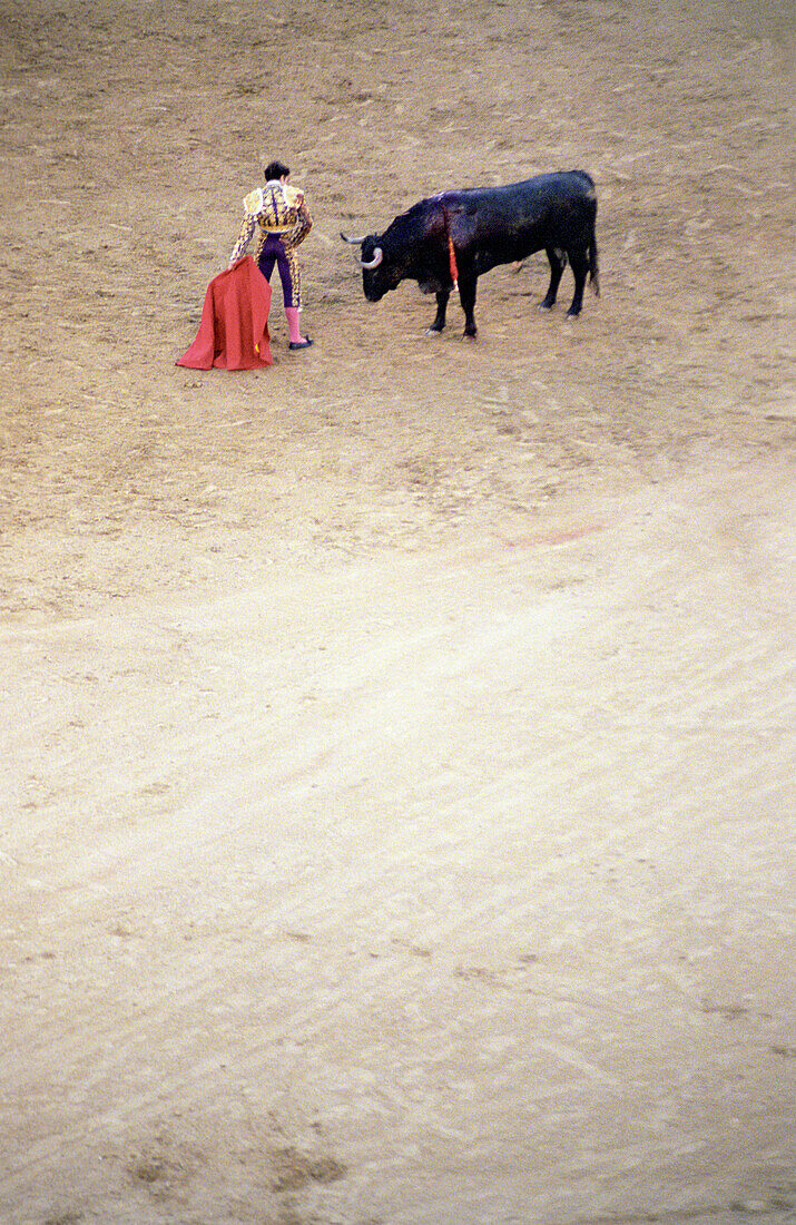 Bullfight, Madrid, Spain