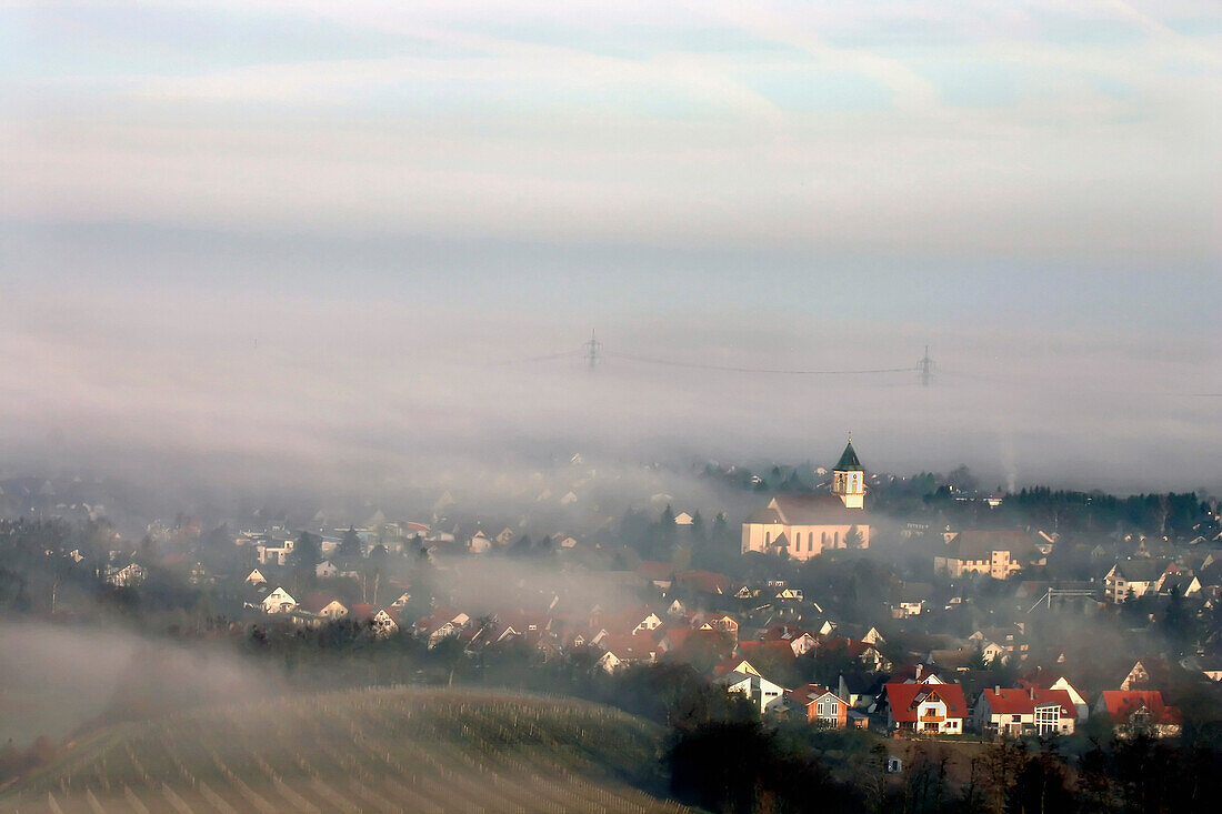 Village in early morning fog, Merdingen, Baden-Wuerttemberg, Germany