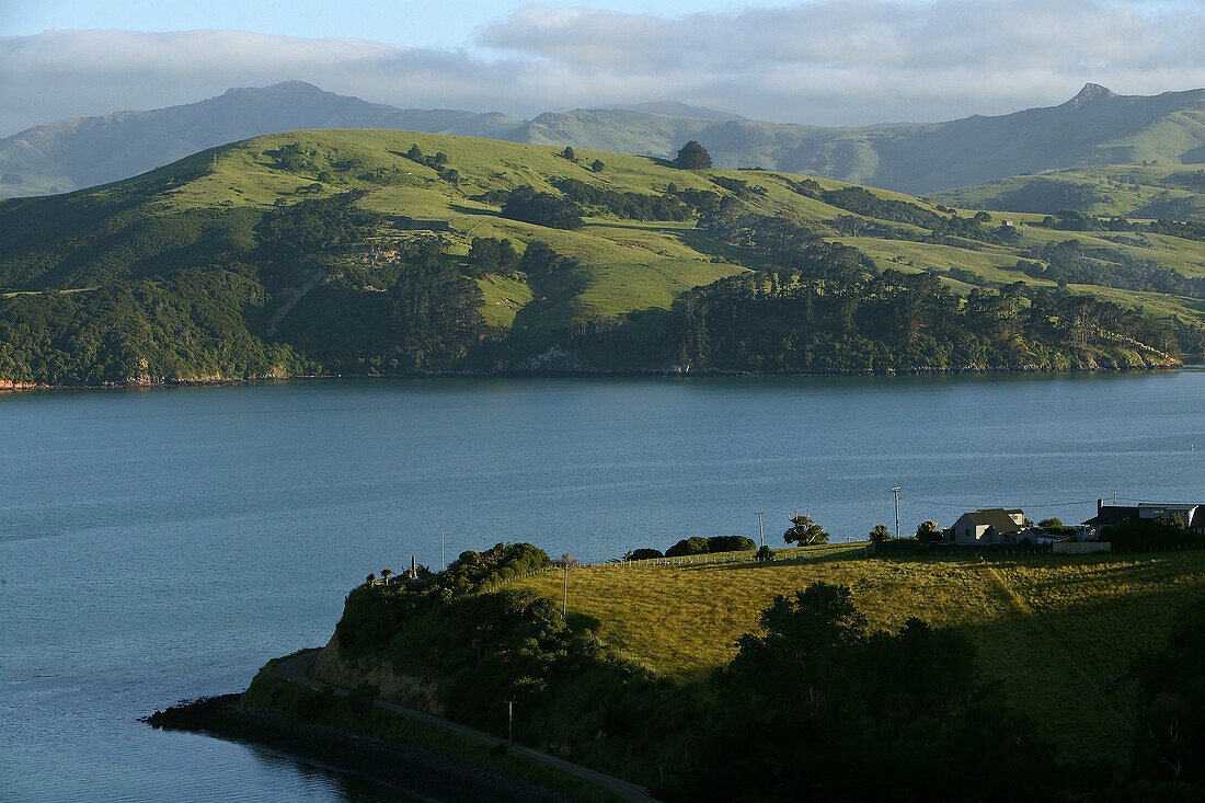 Blick auf Küstenlandschaft und die Banks Halbinsel, Akaroa, Neuseeland, Ozeanien