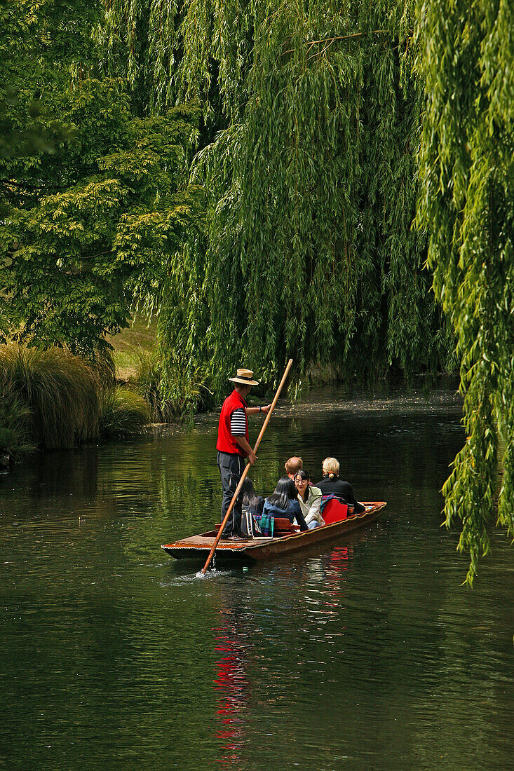 Punting on Avon River, Christchurch, Punt, boat for tourists in Christchurch, South Island, Gondel, gondolier, Avon River