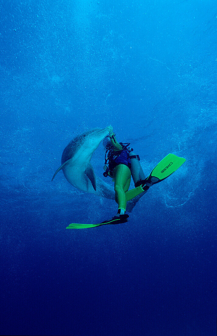 Grosser Tuemmler und Taucher, Delfin, Delphin, bottl, bottlenose dolphin and scuba diver, Tursiops truncatus