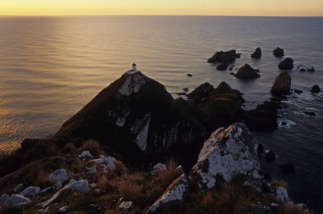 View of lighthouse at Nugget Point in the evening, Catlins, Otago, South Island, New Zealand, Oceania