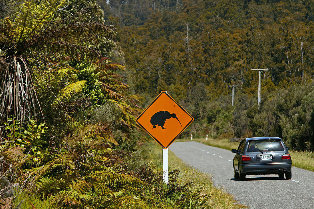 Road sign for kiwis on the road, Strassenschild, Kiwi Warnschild, warning sign for kiwis on the road, New Zealand, Oceania