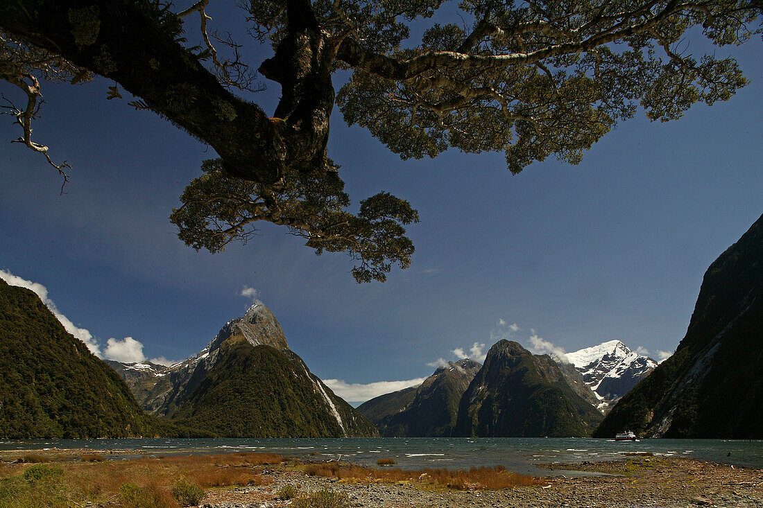 Blick auf Berge und den Fjord Milford Sound, Fiordland Nationalpark, Südinsel, Neuseeland, Ozeanien