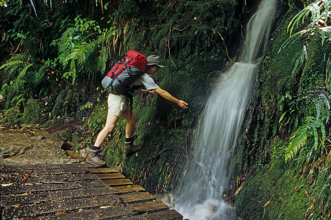 Wanderer an einem Wasserfall, Heaphy Track, Kahurangi Nationalpark, Südinsel, Neuseeland, Ozeanien