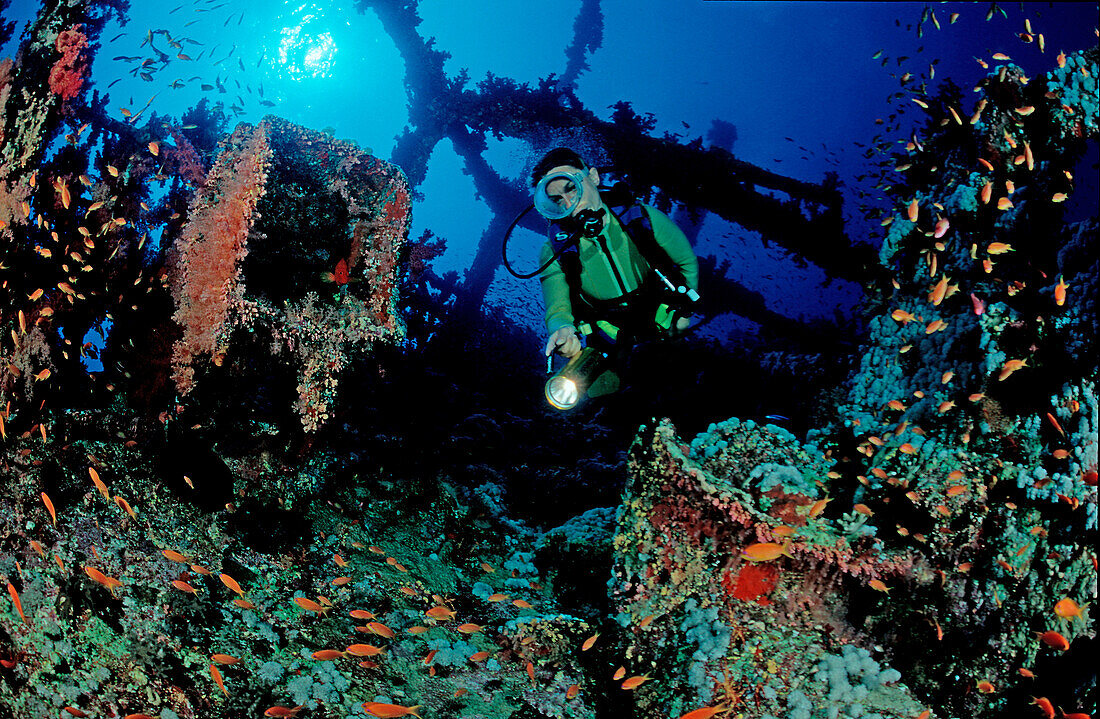 Schiffswrack Numidia und Taucher, scuba diving in, scuba diving in the shipwreck Numidia, scuba diver