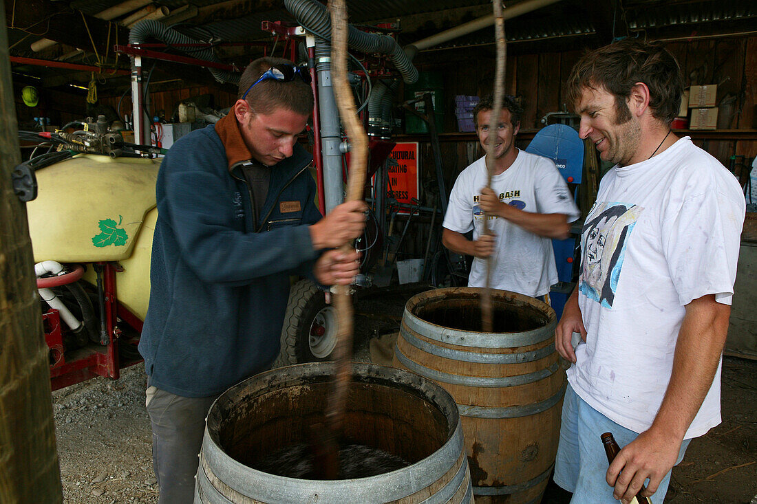 Rippon Vineyard, Menschen rühren in Fässern, Otago, Südinsel, Neuseeland, Ozeanien