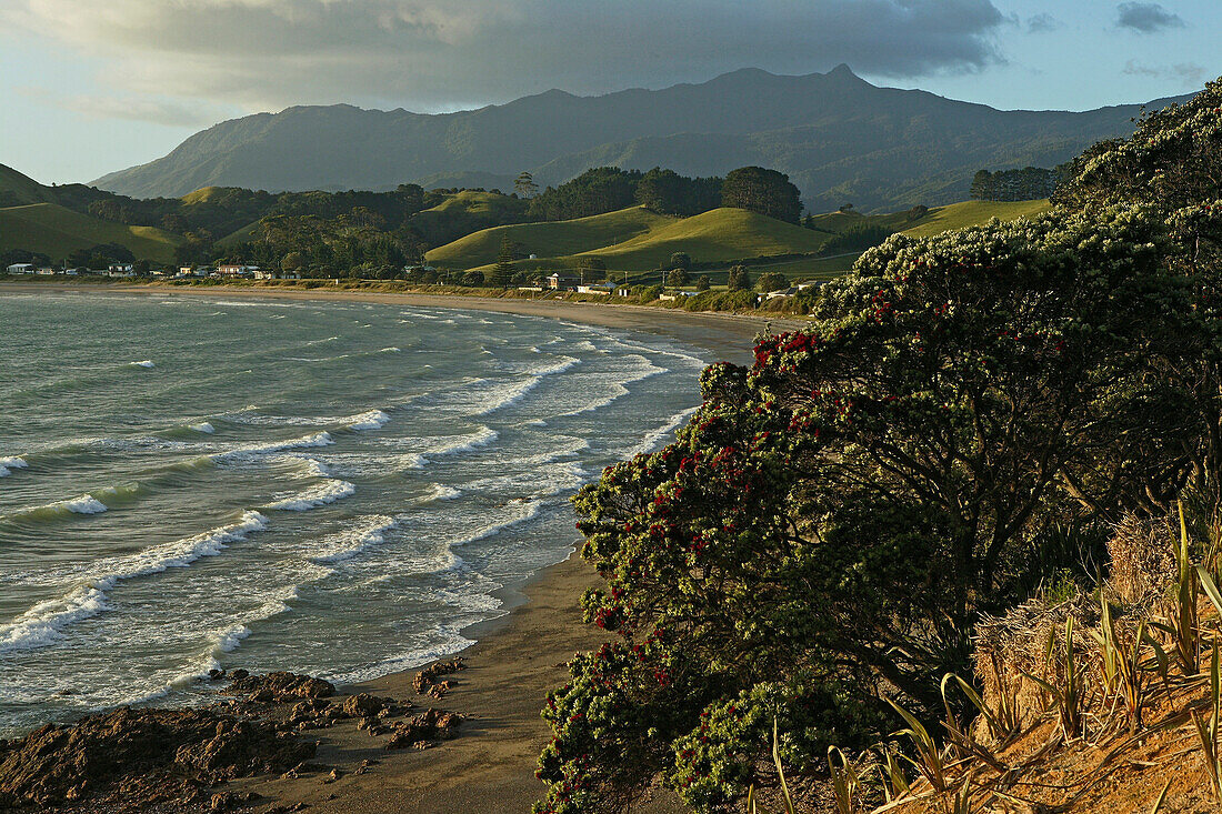 View of beach in a bay and Mount Moehau in the evening sun, Coromandel Peninsula, North Island, New Zealand, Oceania