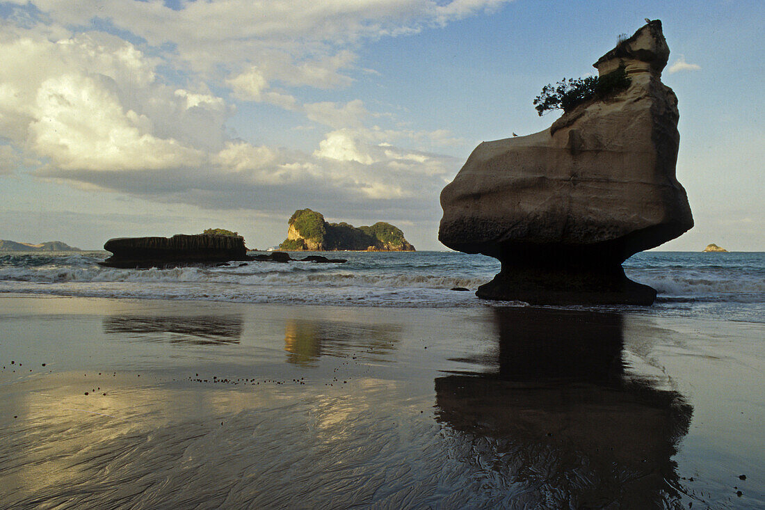 Felsformation am Strand bei Sonnenuntergang, Cathedral Cove, Coromandel Halbinsel, Nordinsel, Neuseeland, Ozeanien