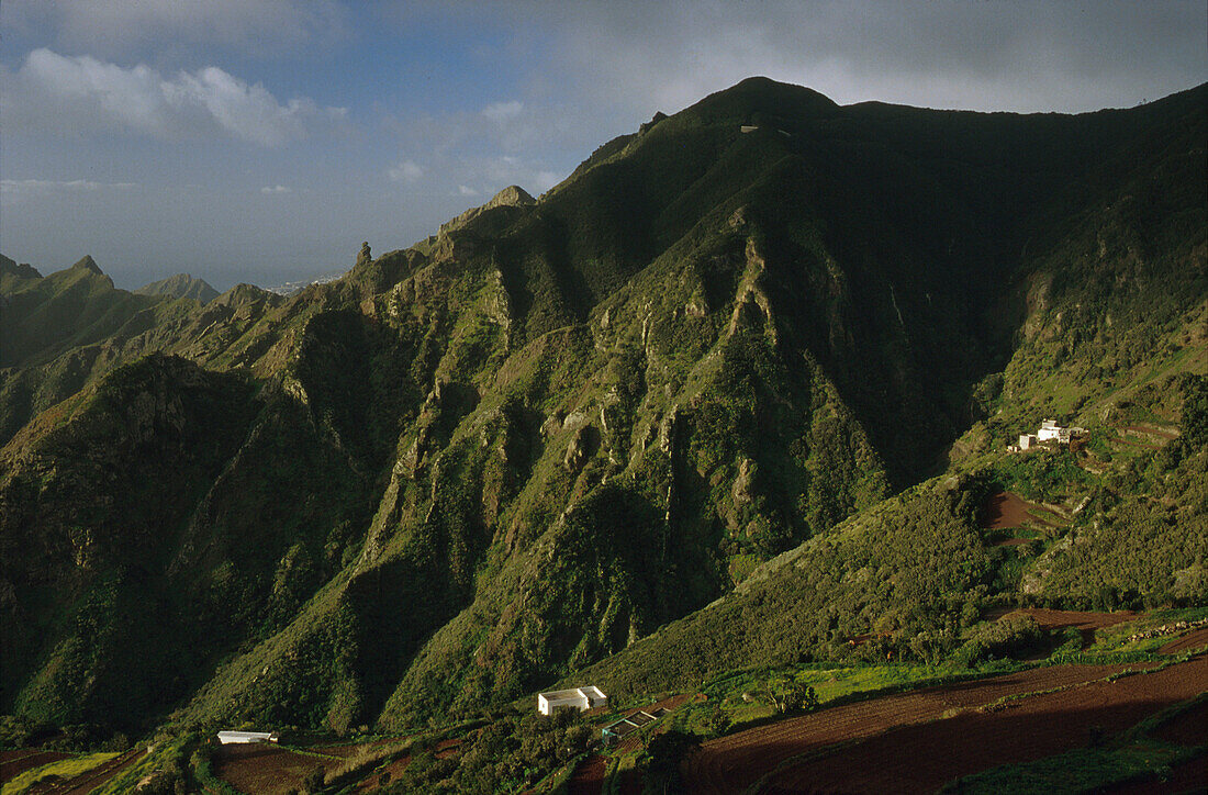 Anaga-Gebirge, Kanarische Inseln Teneriffa, Spanien