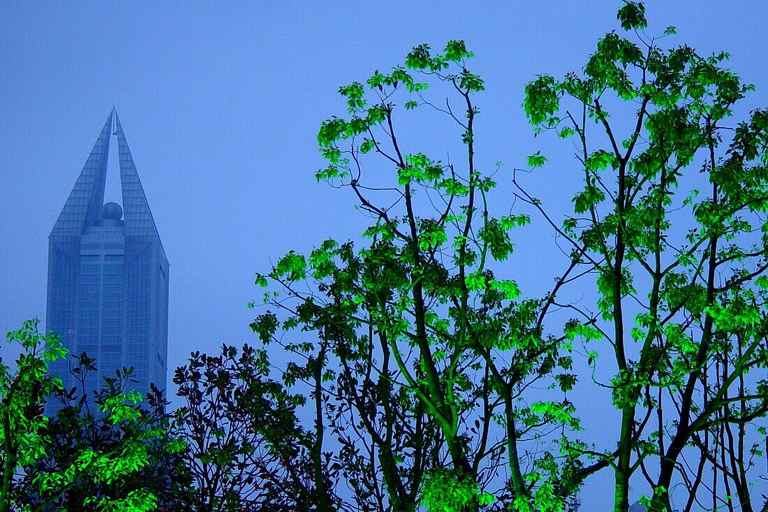 Baum und Gebäude am Abend, Shanghai, China, Asien