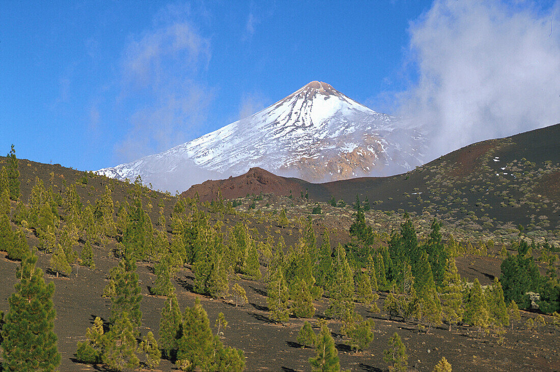 Mountain top Teide 3718m, Parque Nacional del Teide, Tenerife, Canary Islands, Spain