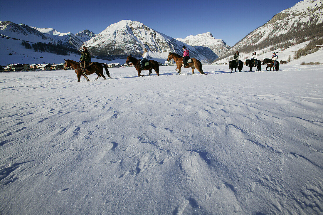 Horse riding in the snow, Livigno, Italy