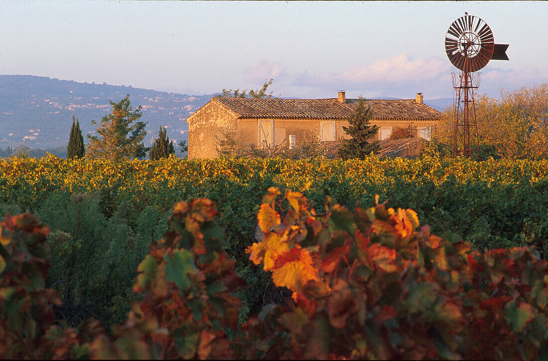 Landhaus, Weingut, Provence Frankreich