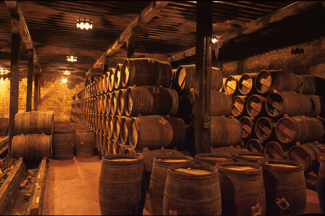 Weinkellerei Bodegas Muga, Haro, La Rioja, Spanien