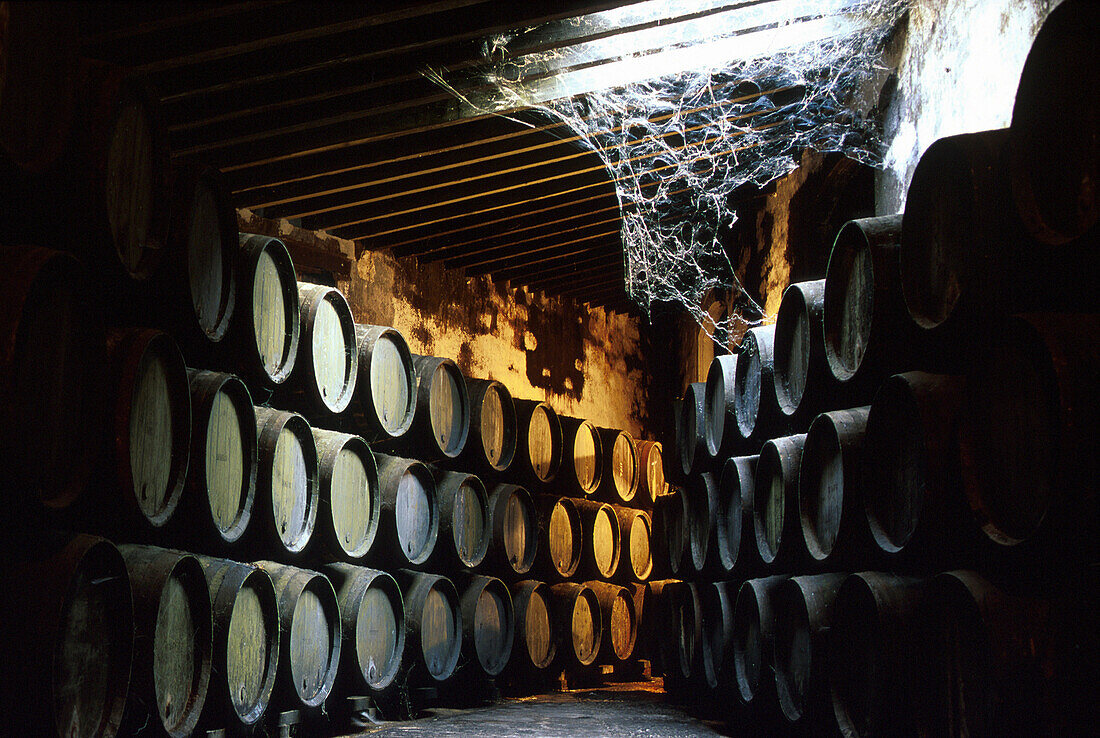 Sherryfässer in einem Lagerraum, Bodegas Domecq, Jerez de la Frontera, Provinz Cadiz, Andalusien, Spanien, Europa