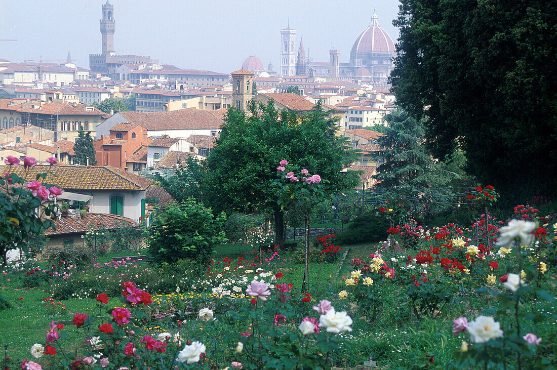 Stadtansicht Florenz, im Vordergr. Rosengarten Toskana, Italien