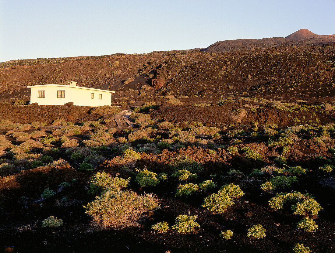 Vulkanische Landschaft mit Landhaus, Fuencaliente, La Palma, Kanarische Inseln, Spanien