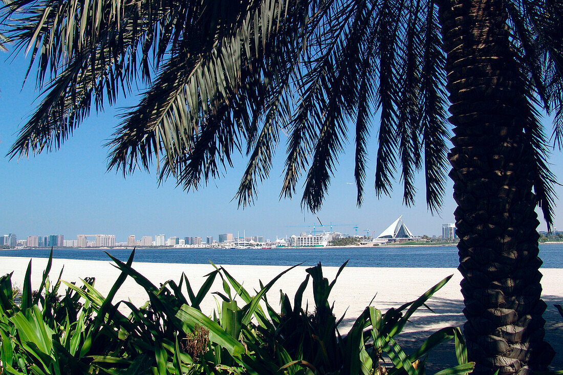 Dubai Creek Park, Dubai, UAE