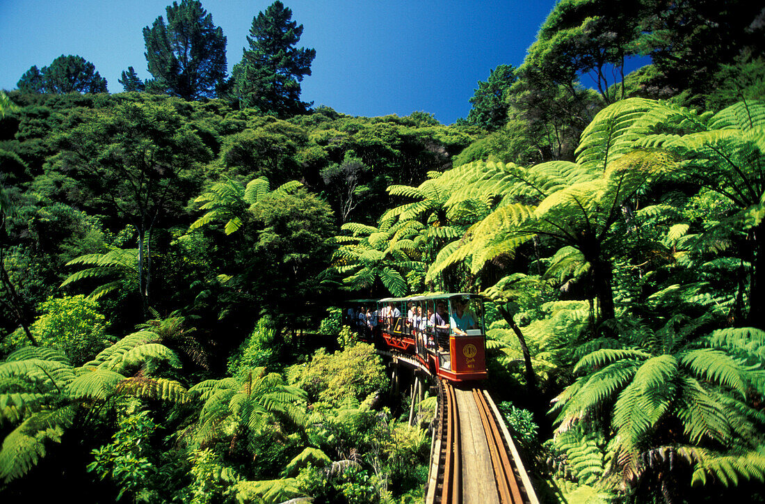 Diving Creek Eisenbahn, Coromandel, Neuseeland