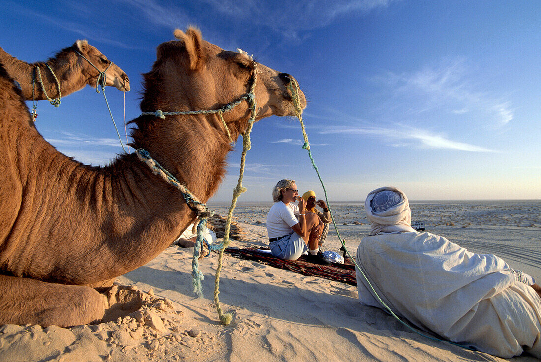 Picknick in der Wüste mit Ben Ali, Berber, Dromedare Nefta, Tunesien