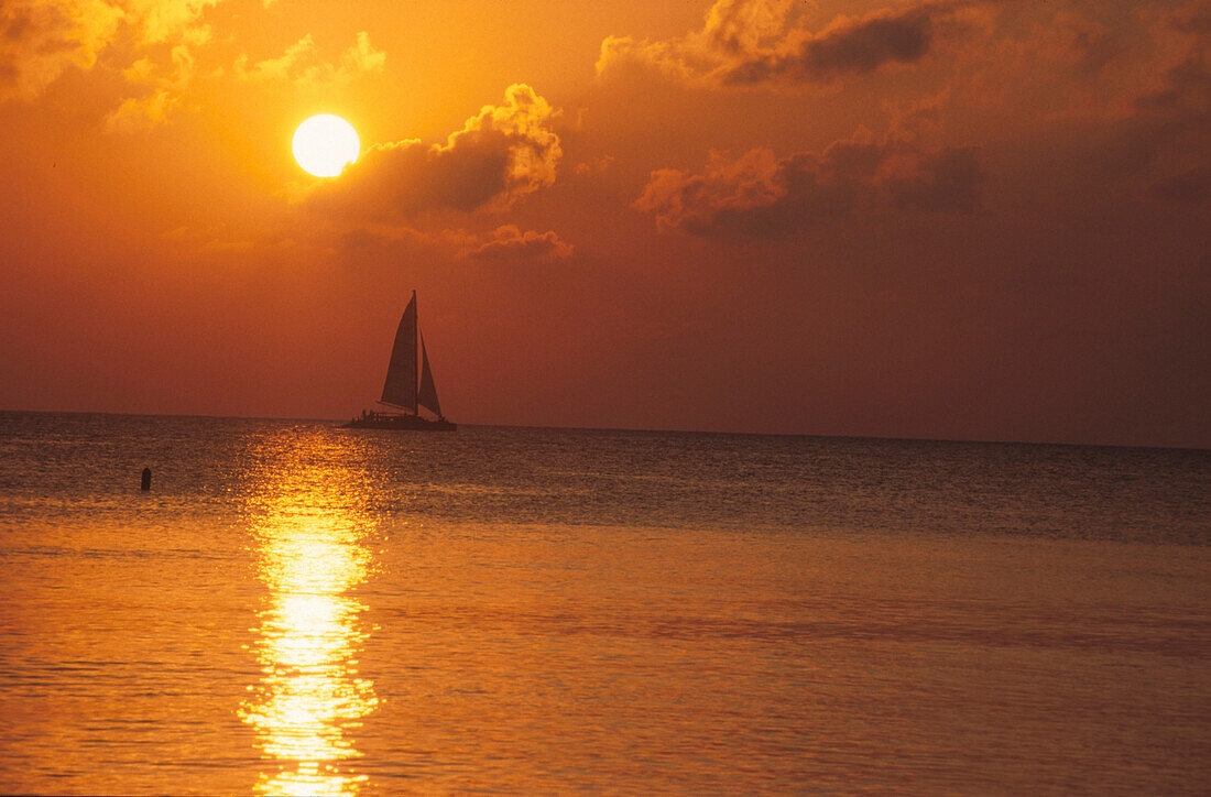 Sonnenuntergang am 7 Mile Beach, Grand Cayman, Cayman Islands Karibik