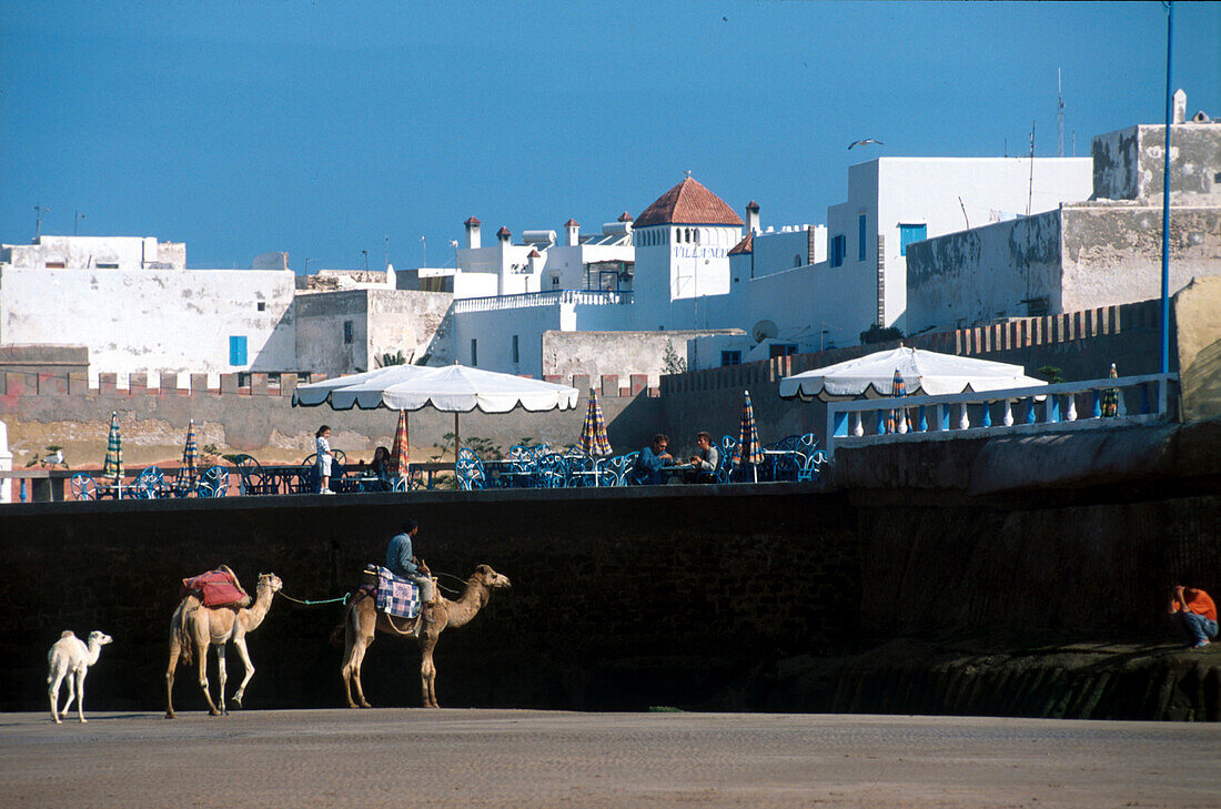 Kamelfuehrer am Strand, Essaouira Marokko
