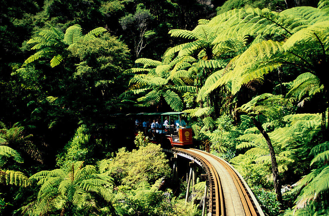 Eisenbahn, Driving Creek Railway, Coromandeln Nordinsel, Neuseeland