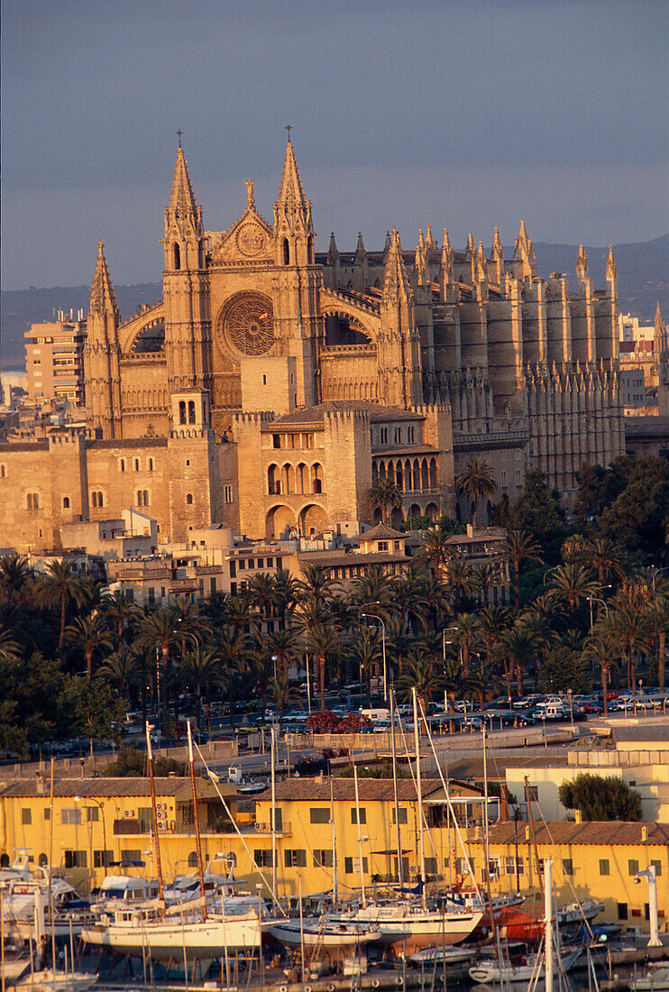Kathedrale und Yachthafen, Palma, Mallorca, Spanien
