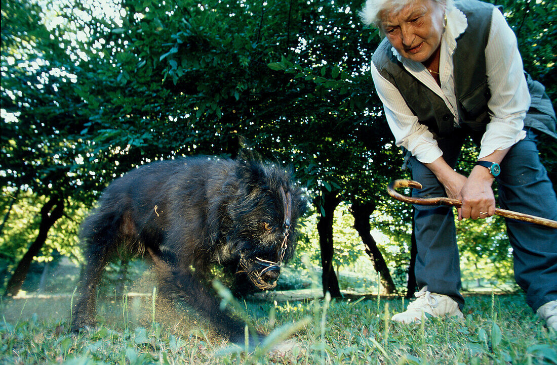 Trueffelsucherin Dolores Amisano mit, Hund Nero in Piemont Italien