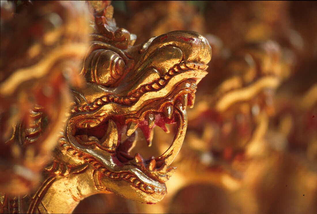 Nahaufnahme von Drachenköpfe, Gamelan Instrument, Bali, Indonesien