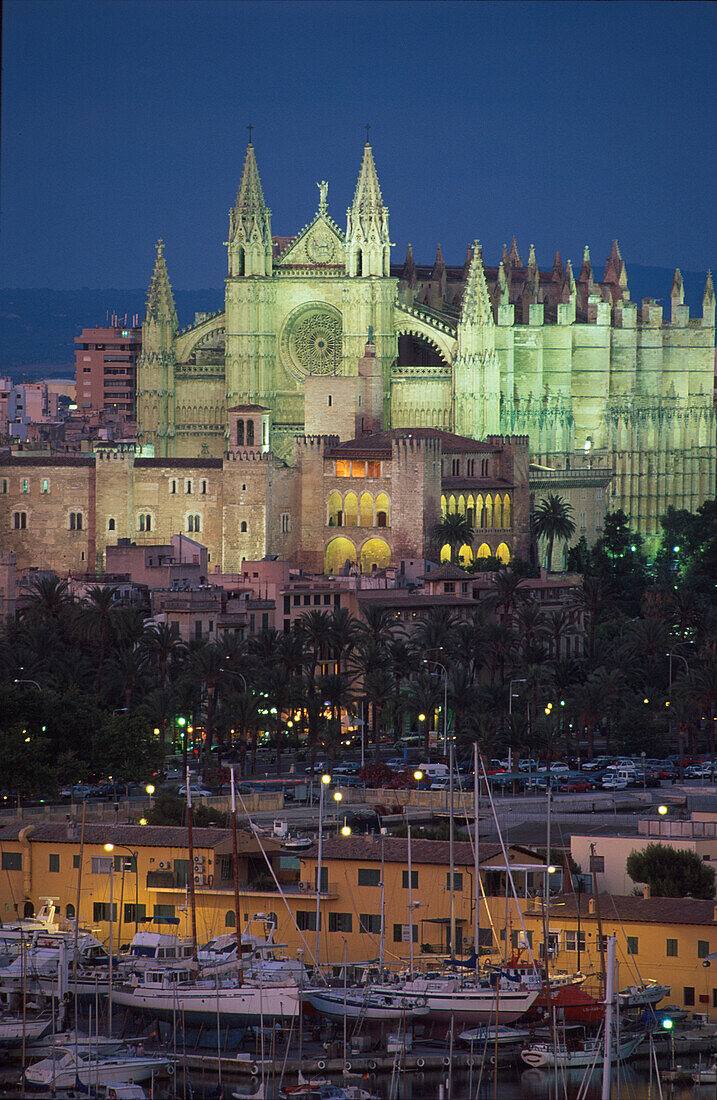 Kathedrale la Seu, Jachthafen la Seu, Palma, Mallorca, Balearen, Spanien, Stürtz 41