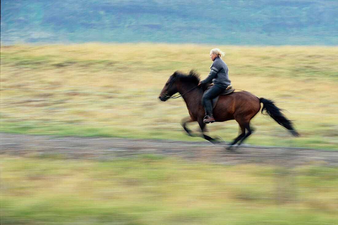 Reiterin Luisa auf Islandpferd, nahe Glaumbaer Norden, Island