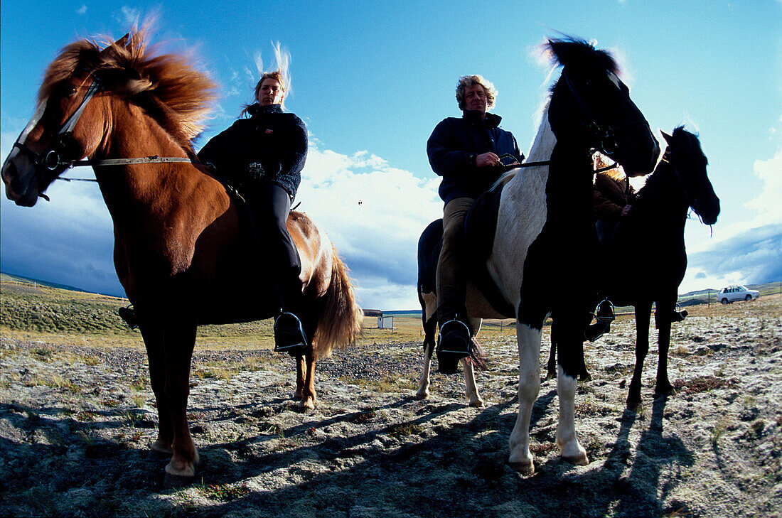 Reiter auf Islandpferden, Midfjord, Norden Island