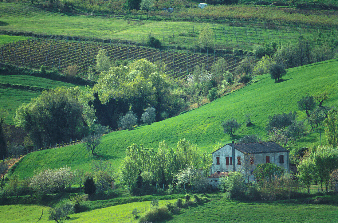 Landhaus im Grünen, bei Sogliano, Emilia Romagna, Italien