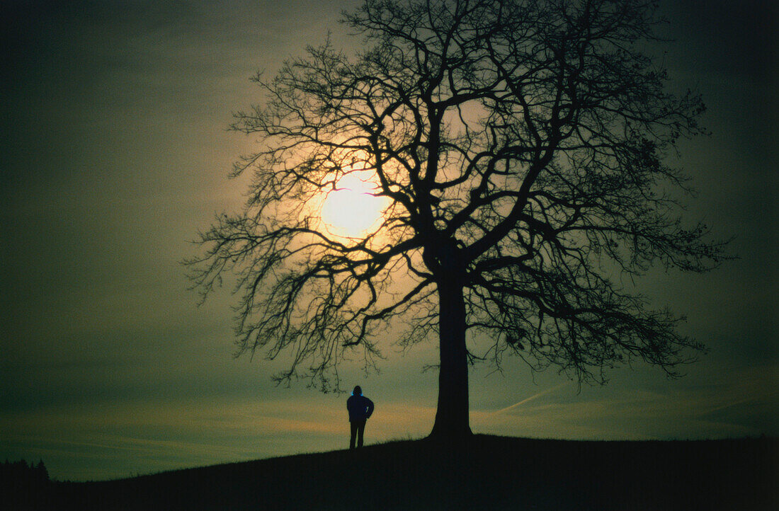 Solitary person standing in the moonlight by the silhouette of a tree
