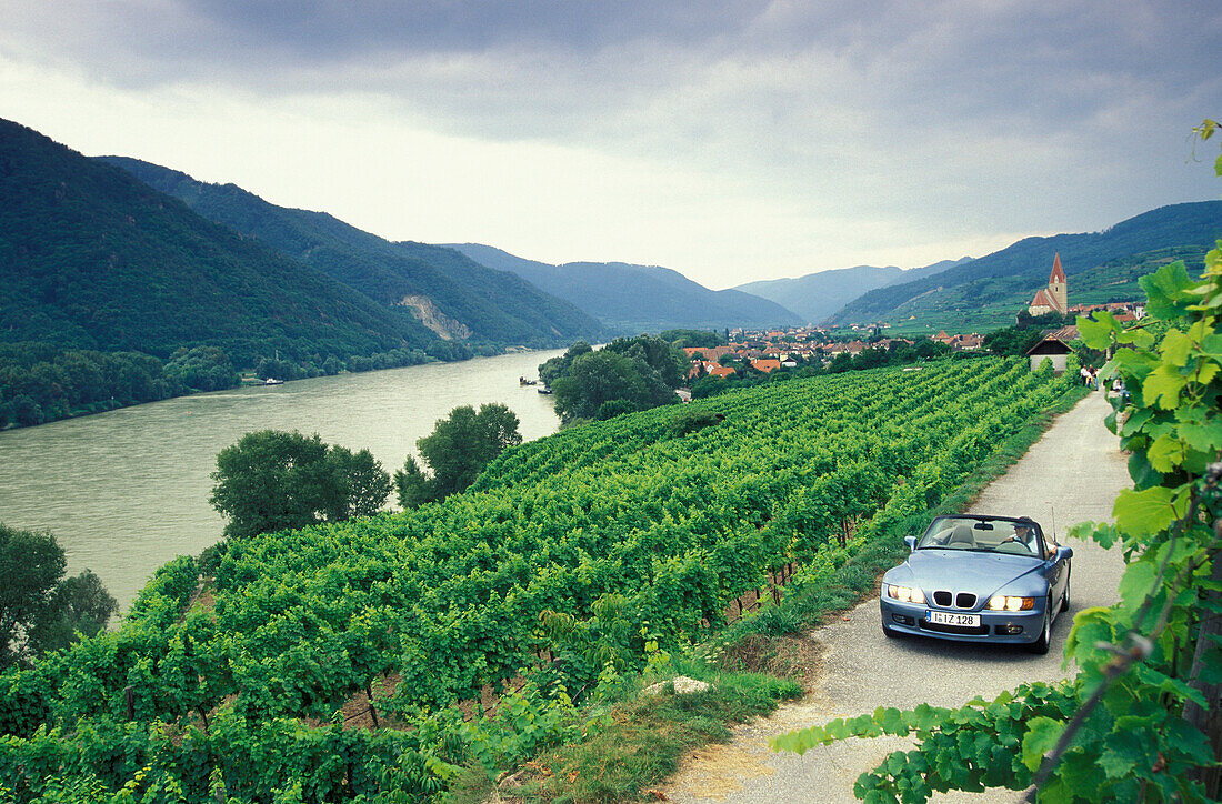 Cabrio fährt Donau entlang, Weißenkirchen, Wachau, Niederösterreich, Österreich