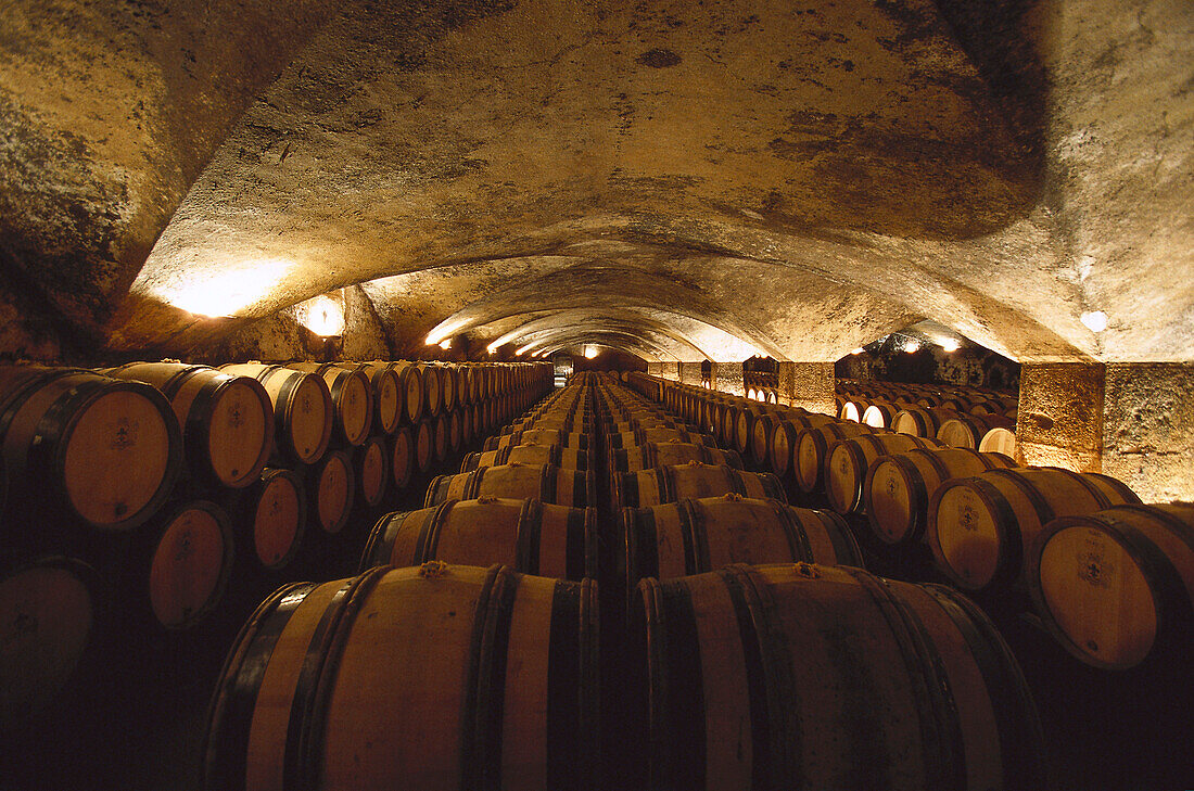 Wine cellar, Chateau de Meursault, Burgundy, France