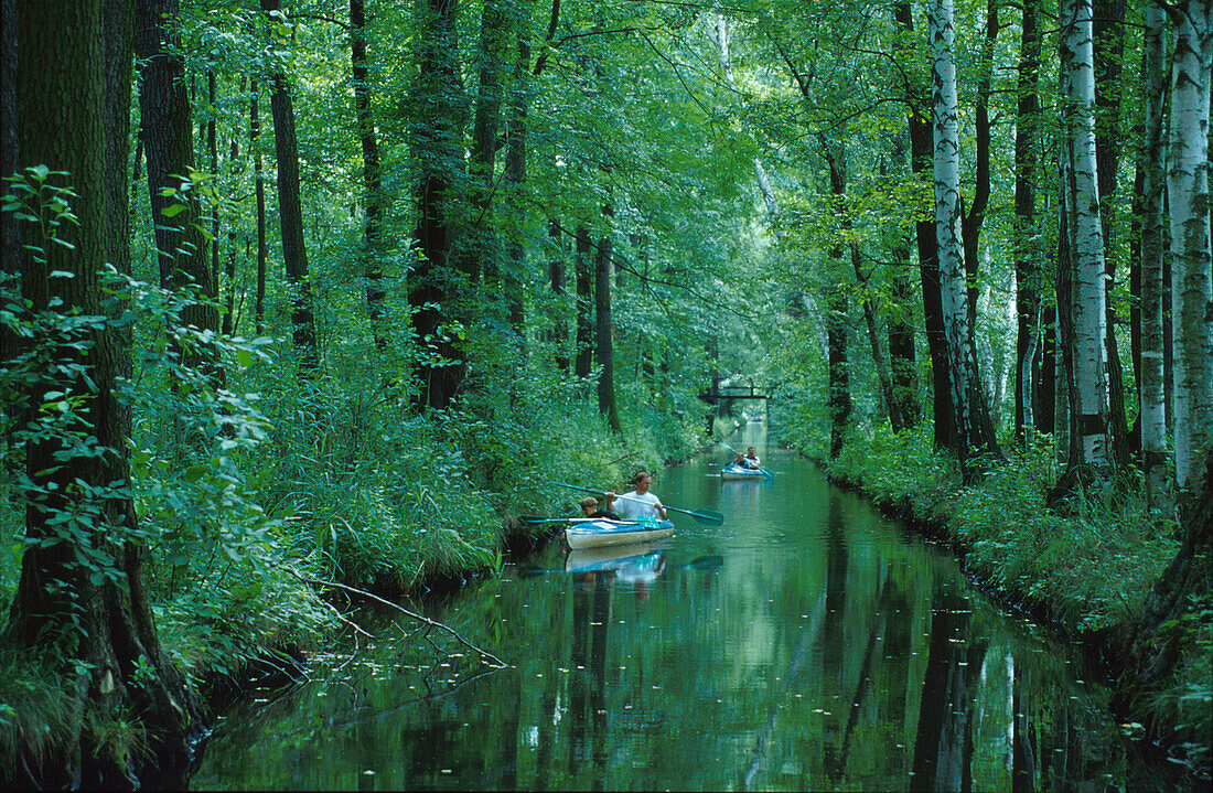 Canoeists in Oberspreewald, Biosphere resere, Spreewald, Brandenburg, Germany