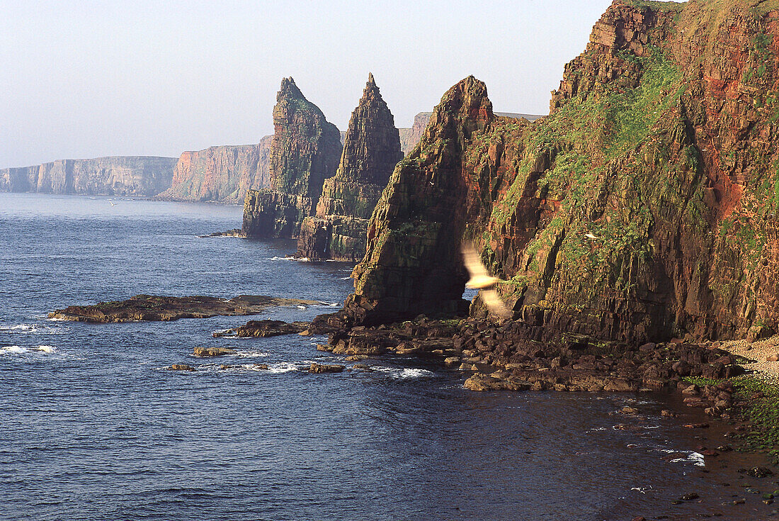 Duncansby Head, near John o´Groats Highland, Scotland